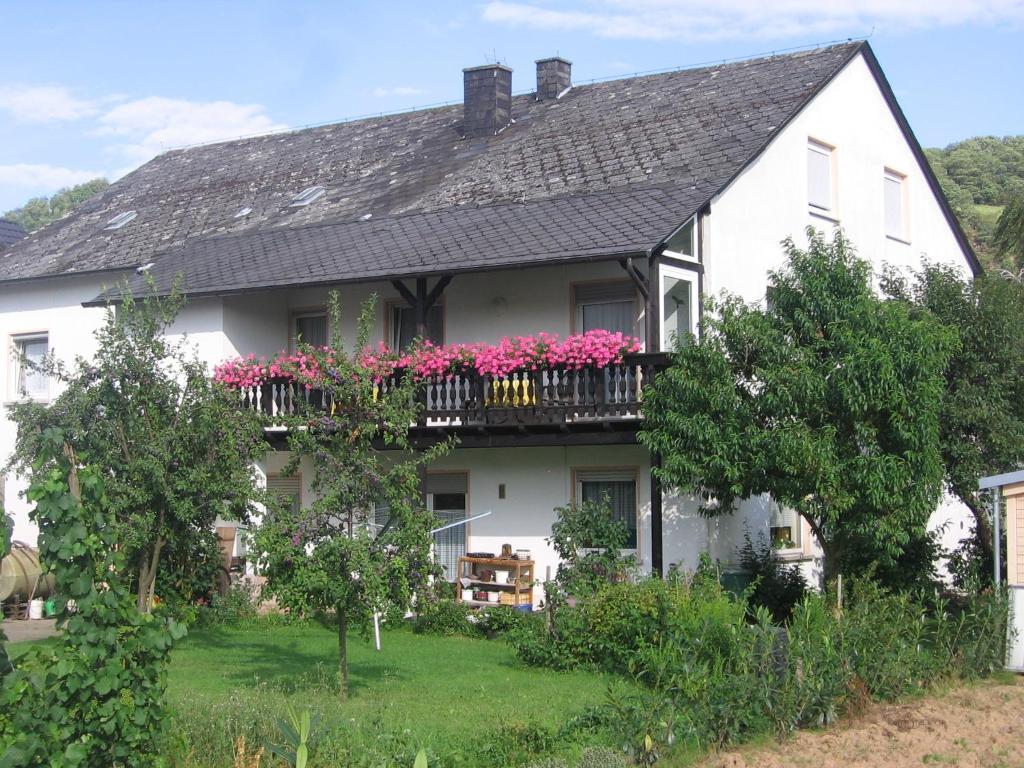 Hotel Weinfelderhof Kröv Exteriér fotografie